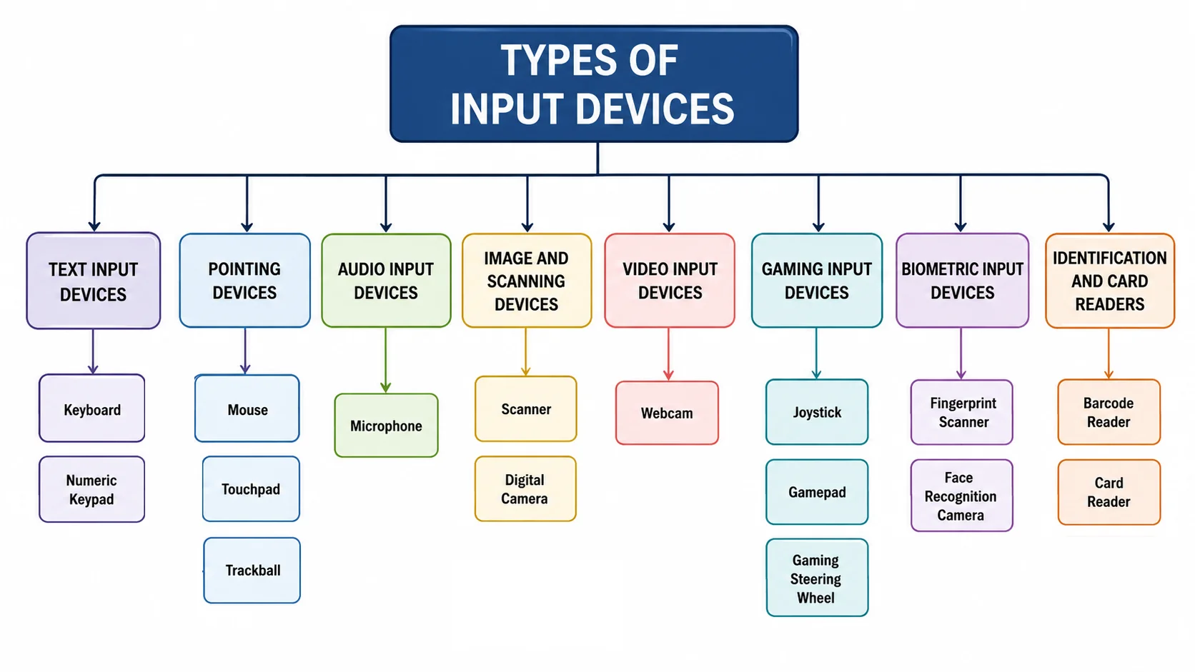Types of input devices diagram showing eight categories: text input, pointing, audio input, image and scanning, video input, gaming input, biometric input, and identification and card readers, with common examples under each category.
