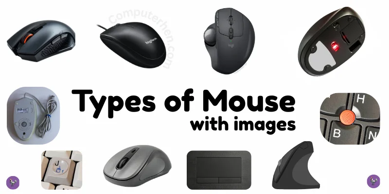 types-of-mouse-in-computer-with-images-post-image