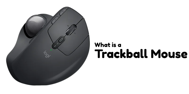 what-is-trackball-mouse-post-image
