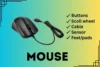 What is a Mouse | Parts | Types & History - Post Thumbnail