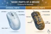 Basic Parts of a Mouse | External and Internal - Post Thumbnail