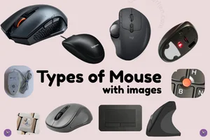 Types of Mouse in Computer with Images | 2 Main Categories