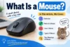 What is Computer Mouse? How It Works, Parts, Types & Uses - Post Thumbnail