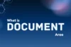 What is Document Area | Word | Excel | Powepoint - Post Thumbnail