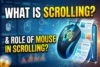 What is Scrolling & Role of Mouse in Scrolling? - Post Thumbnail